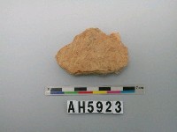 藏品(淺褐色夾砂陶片)的圖片